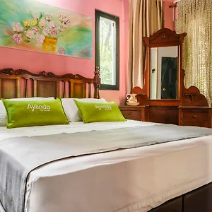 Ayenda Habana Vieja 1221 Medellín